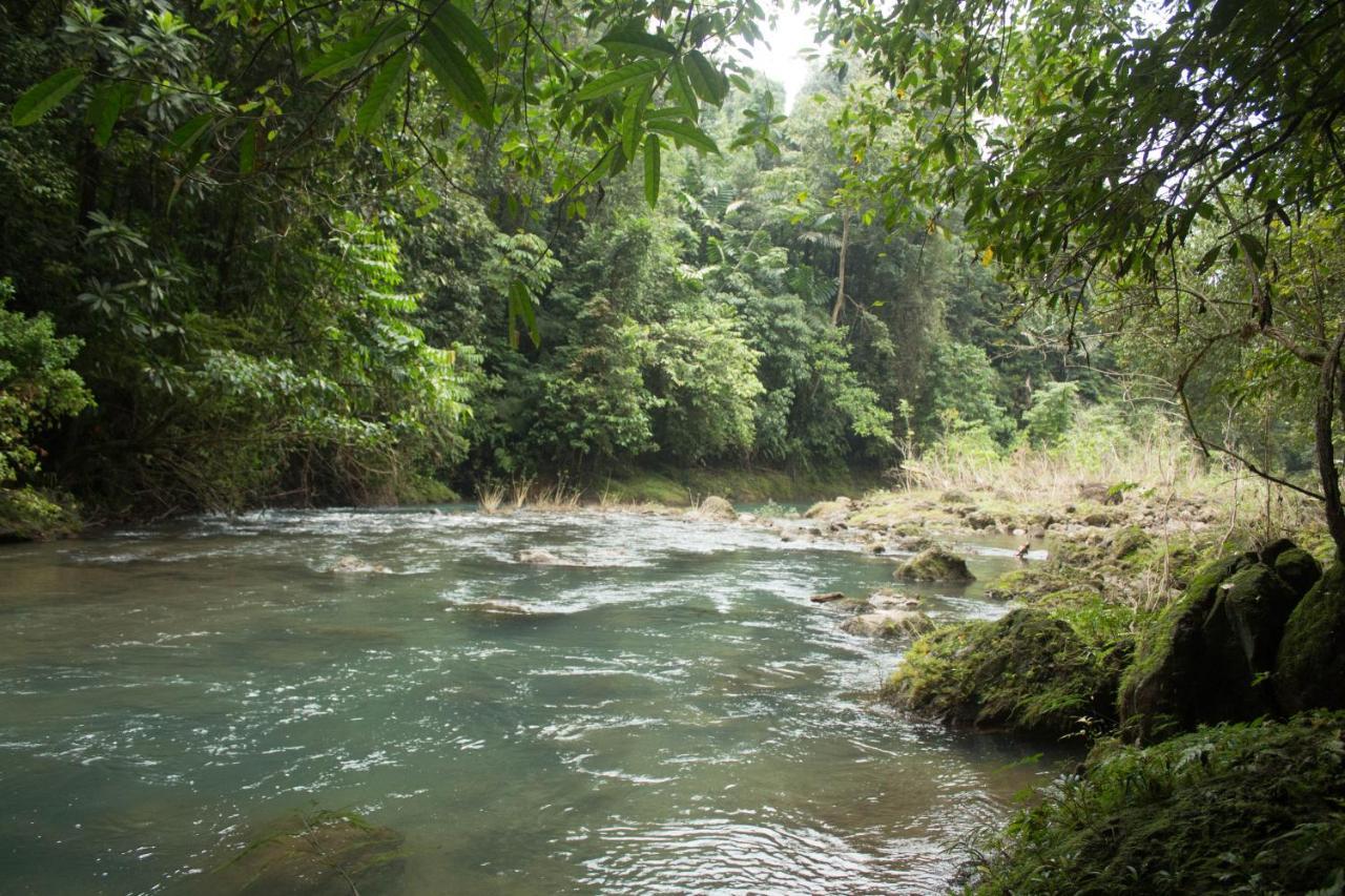 Rio Agujitas Eco Farm Hostel And Tours Драке Экстерьер фото