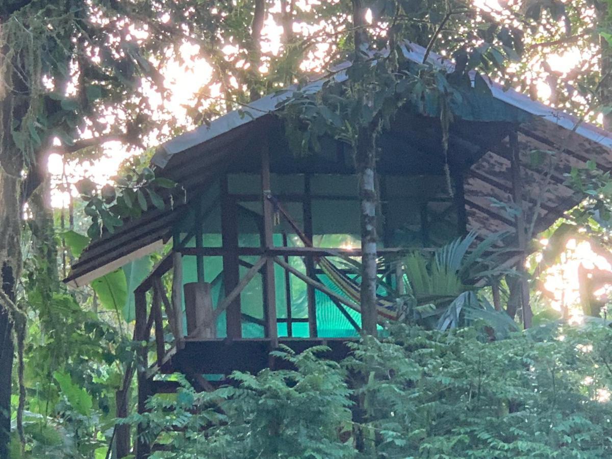 Rio Agujitas Eco Farm Hostel And Tours Драке Экстерьер фото