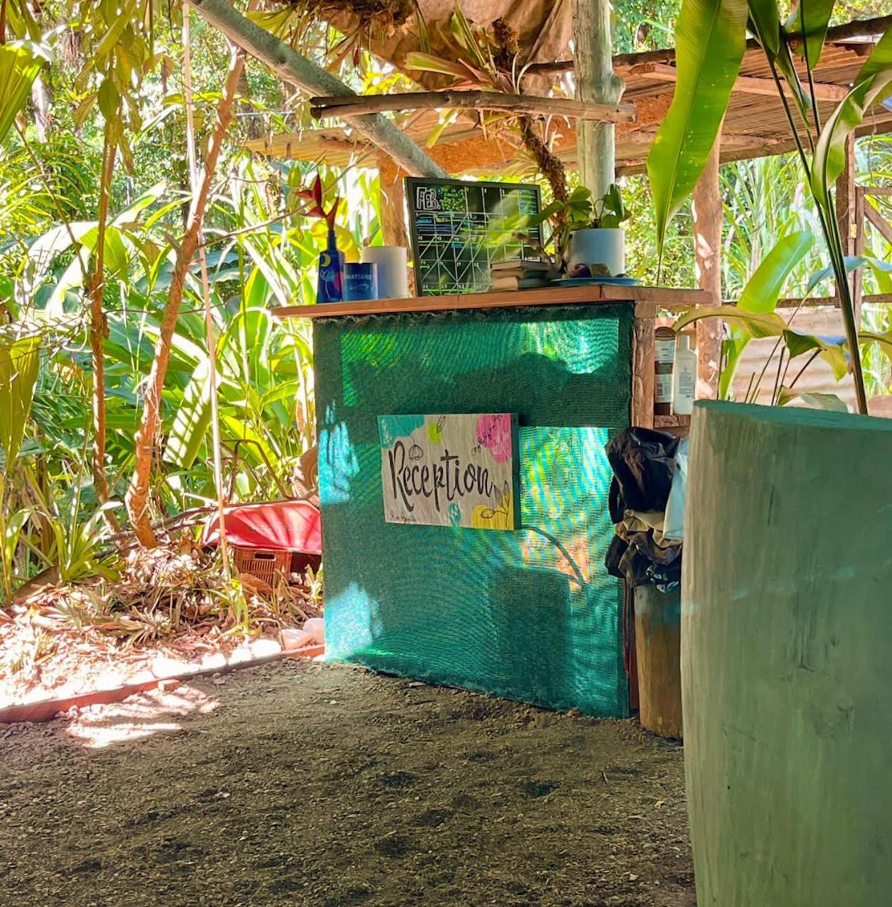 Rio Agujitas Eco Farm Hostel And Tours Драке Экстерьер фото