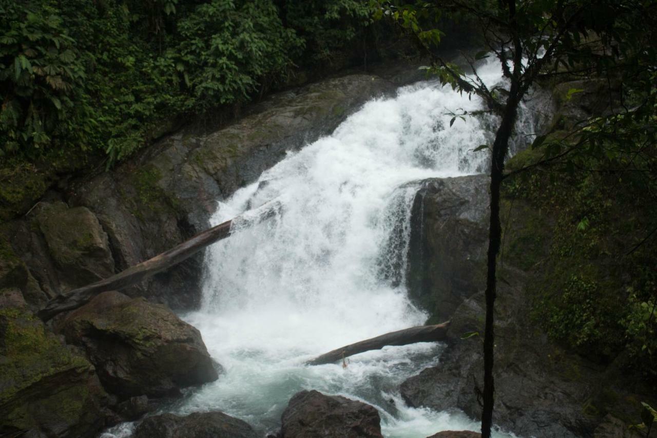 Rio Agujitas Eco Farm Hostel And Tours Драке Экстерьер фото